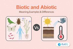 Biotic and Abiotic